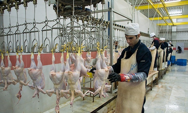 Korosh slaughterhouse waste conversion system